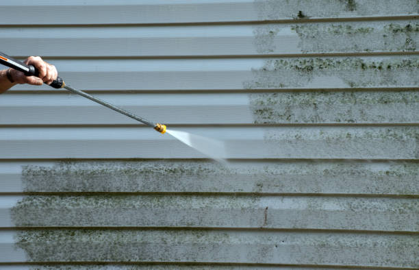 Best Solar Panel Cleaning  in Bristol, VA