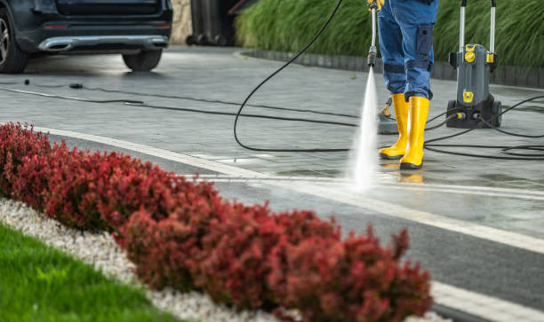 Best Dumpster Area Cleaning  in Bristol, VA